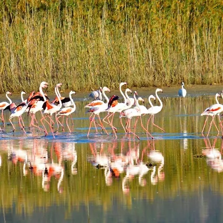 Bed & Breakfast Ajo' A Mulinu