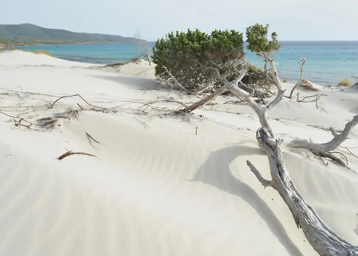 Ajo' A Mulinu 3* Teulada